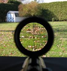 Rifle Scope View
