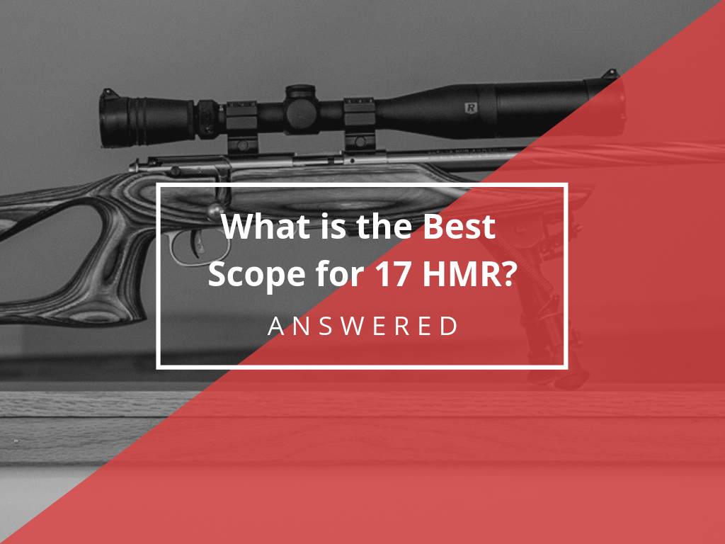 What Is The Best Scope For 17 HMR  